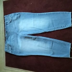 Ladies size 2X (20W-22W) Terra & Sky jeans
